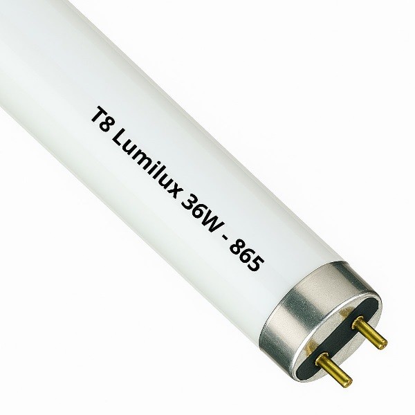 25 Stück Osram Lumilux T8 Leuchtstoffröhre 36Watt 865 daylight
