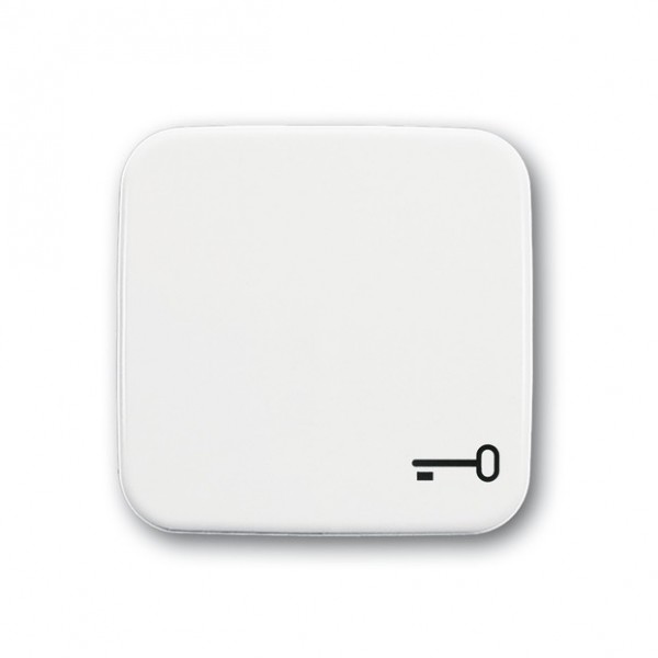 BUSCH-JAEGER SI Wippe Schlüsselsymbol alpinweiß 2520-TR-214