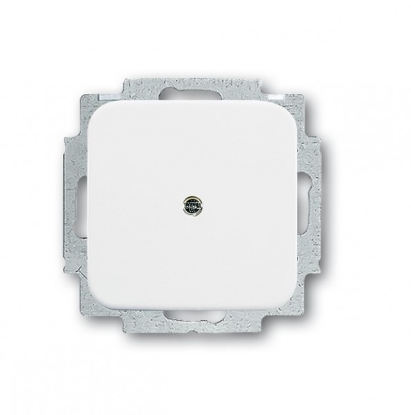 BUSCH-JAEGER SI Blindabdeckung alpinweiß 2538-214