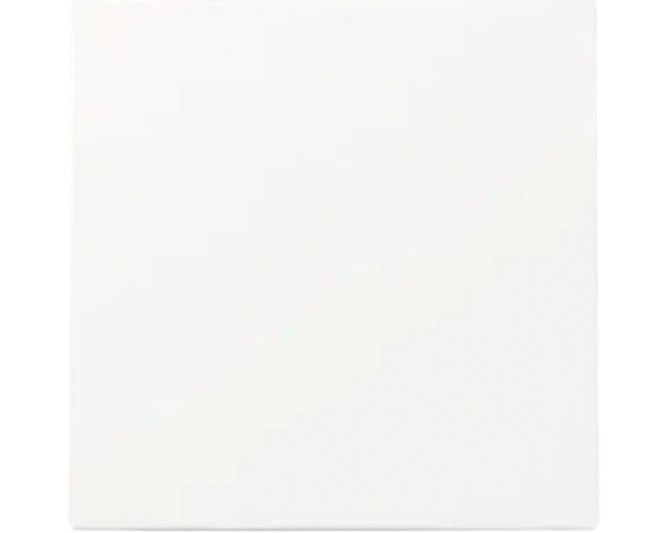 Gira 329603 Sys.55 rws Wippe