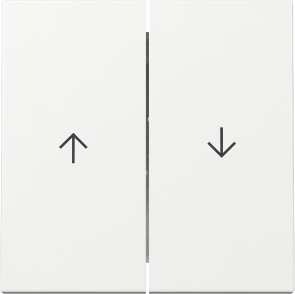 Gira Wippe Jalousieschalter 2fach System 55 weiß glänzend (329403)